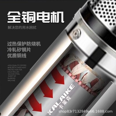 螺杆深井泵220V家用潜水泵高扬程农用灌溉不锈钢小型单相抽水机图3
