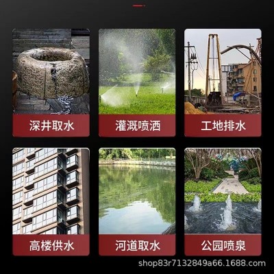 螺杆深井泵220V家用潜水泵高扬程农用灌溉不锈钢小型单相抽水机图5