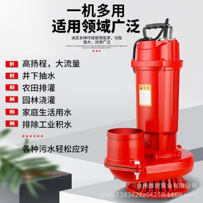 潜水泵220v抽水泵2寸3寸4寸家用农用灌溉大流量高扬程抽水机图4