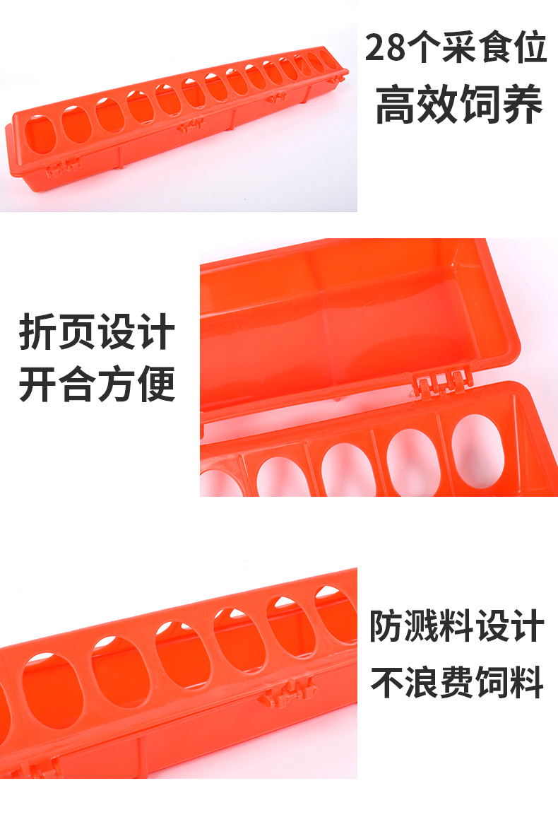 详情_03.jpg