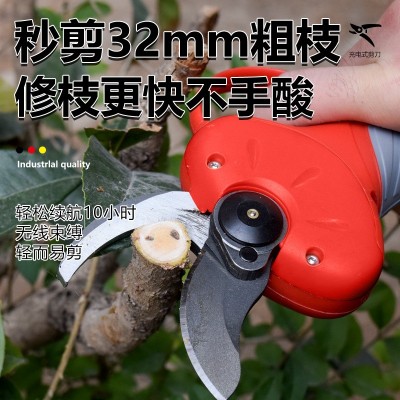 无刷花枝剪电动剪果树修枝剪 锂电无线电动园林剪图3