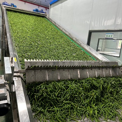梅干菜烘干机 空气能网带式干冬菜脱水烘干设备 梅菜蔬菜干干燥机图3