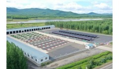 北大荒农业股份勤得利分公司持续提升农机标准化管理水平