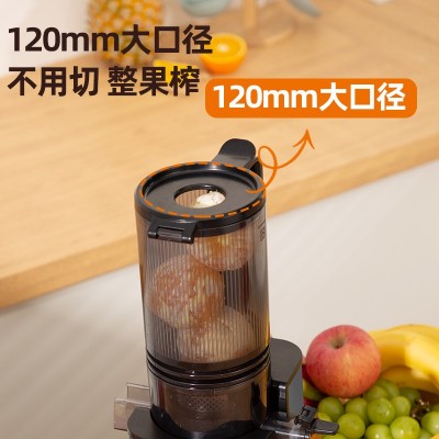 狮威特JE-60D大口径榨汁机原汁机家用电动果蔬机冰淇淋豆浆纯果汁图5