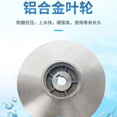 直流潜水泵48V60V高扬程大流量农用灌溉浇地浇花电瓶车 不锈钢水泵图3