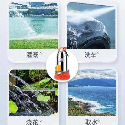 大流量大功率大2寸直流泵4860V电瓶车电动车抽水泵农用灌溉抽水机图4