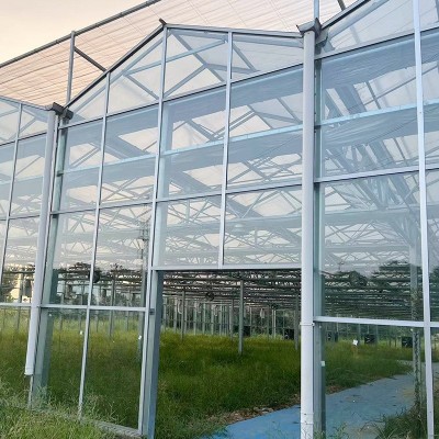 玻璃温室大棚智能玻璃温室花卉棚厂家供应蔬菜镀锌阳光玻璃大棚图4