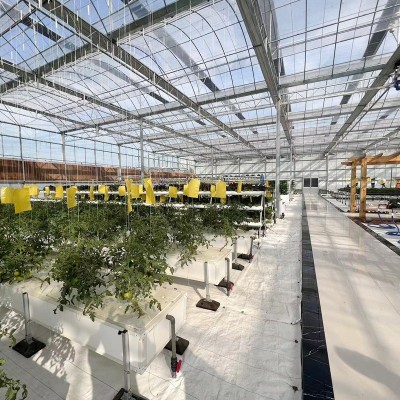 玻璃温室连栋大棚 阳光温室保温玻璃暖棚 花卉种植养殖玻璃大棚图2