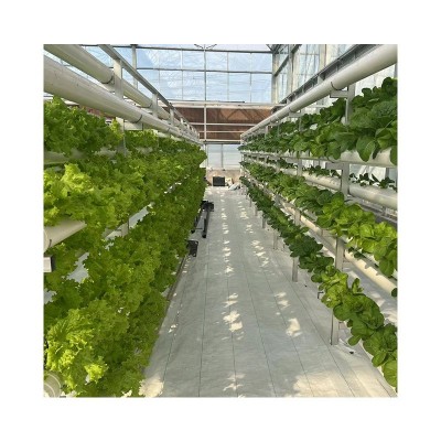 玻璃温室连栋大棚 阳光温室保温玻璃暖棚 花卉种植养殖玻璃大棚图4