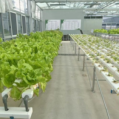 玻璃温室连栋大棚 阳光温室保温玻璃暖棚 花卉种植养殖玻璃大棚图3