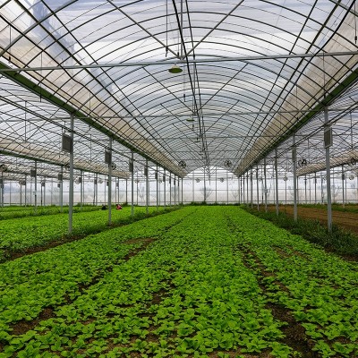 蔬菜花卉连栋大棚 连栋薄膜温室大棚钢骨架连栋大棚 山东厂家图3