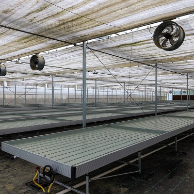 蔬菜花卉连栋大棚 连栋薄膜温室大棚钢骨架连栋大棚 山东厂家图5