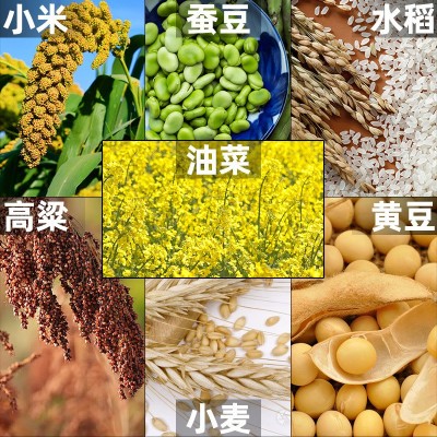 批发水稻多功能脱粒机黄豆高梁谷子豆油菜籽脱壳脱籽机小麦脱粒机图3