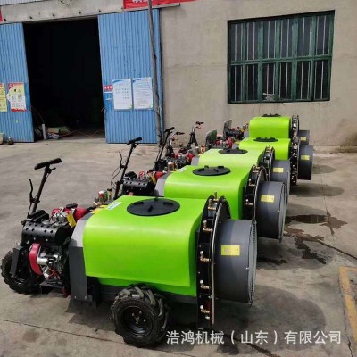 全自动柴油打药机园林果树果园高压喷雾器 自走式电动三轮打药机图2