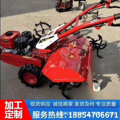 猕猴桃园耕地松土微耕机 菜地大棚犁地开沟起垄机 手扶式旋耕机图2