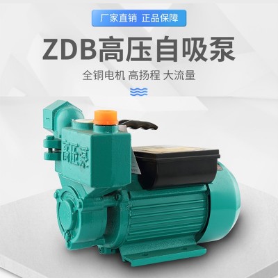 自来水高压自吸泵大流量全自动菜田浇灌抽水泵家用增压泵厂家批发图2