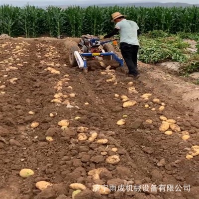 不破皮土豆上车收获机4UD-100型红薯收获机农田大面积地瓜收获机图2