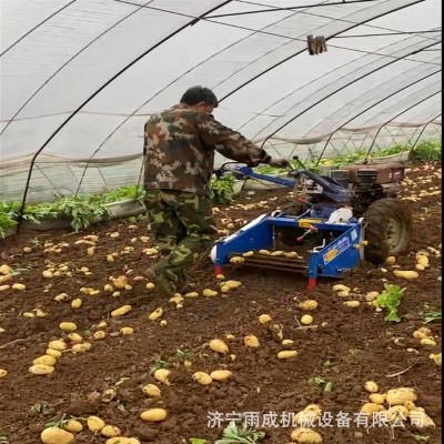 不破皮土豆上车收获机4UD-100型红薯收获机农田大面积地瓜收获机