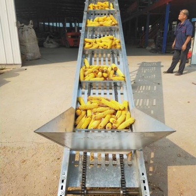 家用玉米棒子输送机双链条漏粒式上棒机铲车专用大料斗提升机优惠图4