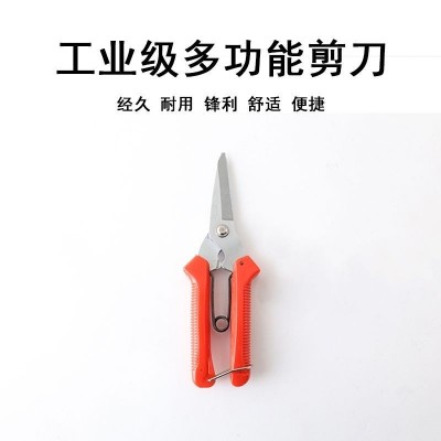 韩国花信剪刀多功能剪刀电子剪刀线槽剪园艺不锈钢铁皮剪采摘剪刀图4