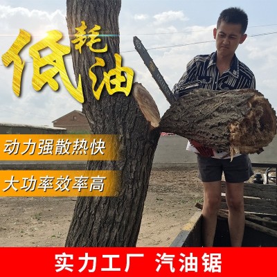 园林手提汽油锯大功率伐木锯小型多功能家用手持伐木链条锯锯树机图3