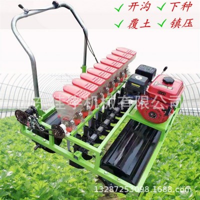 油菜籽小颗粒汽油播种机自走式小型蔬菜精播机 多行香菜点播机