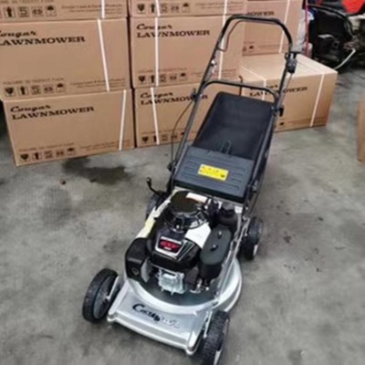 路邦GXV160手推式割草机 铝底盘割草机 自走式铝底割草机厂家图3