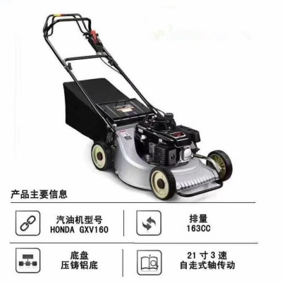 路邦GXV160手推式割草机 铝底盘割草机 自走式铝底割草机厂家图4