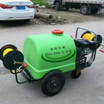 四轮手推式喷雾器 汽油铜泵打药机 果树园林汽油喷雾机生产厂家图2