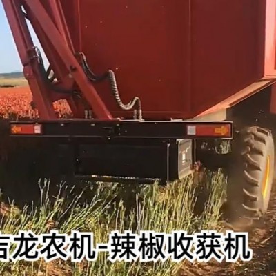 大型辣椒采摘机辣椒收获机朝天椒收割机朝天椒板椒线椒色素椒收获图3