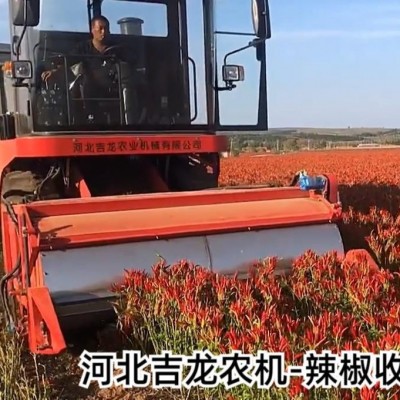 大型辣椒采摘机辣椒收获机朝天椒收割机朝天椒板椒线椒色素椒收获图2