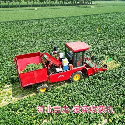 新型菠菜收获机收割机采收机采摘机叶菜收获机图3