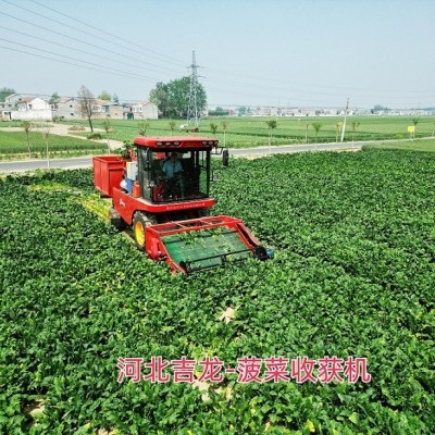 新型菠菜收获机收割机采收机采摘机叶菜收获机图2