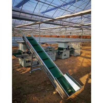 全自动穴盘播种机 泡沫盘塑料盘育苗机 花卉苗木蔬菜种子种植机图3