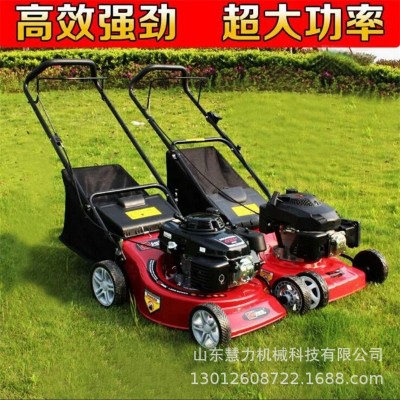 工厂手推式草坪机16寸21寸四冲程割草机20寸自走式剪草机除草机图3