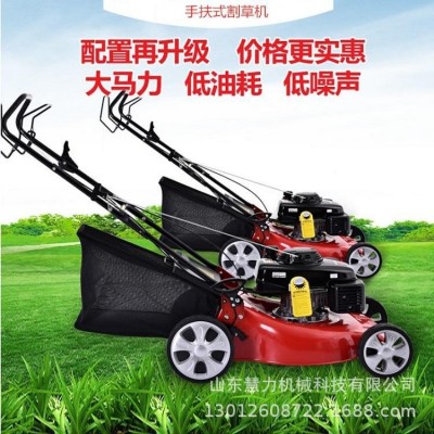 工厂手推式草坪机16寸21寸四冲程割草机20寸自走式剪草机除草机图2