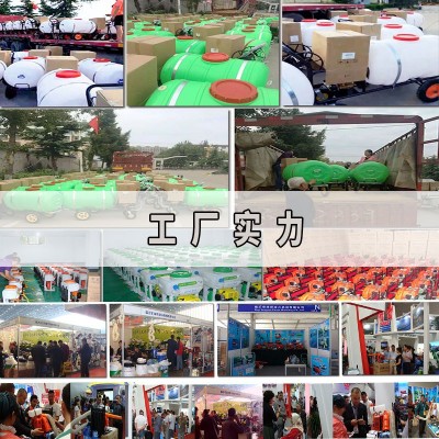 批发四冲程打药机汽油喷雾器农用喷雾打药机背负式汽油高压打药机图3