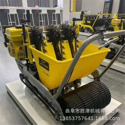 德易播第四代单粒大蒜种植机 大蒜点播机 2020新型蒜苗播种机图2