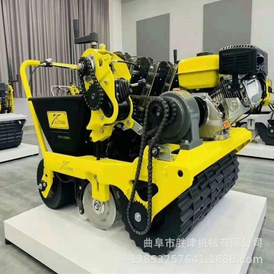 德易播第四代单粒大蒜种植机 大蒜点播机 2020新型蒜苗播种机图4