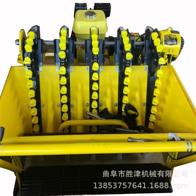 德易播第四代单粒大蒜种植机 大蒜点播机 2020新型蒜苗播种机图5