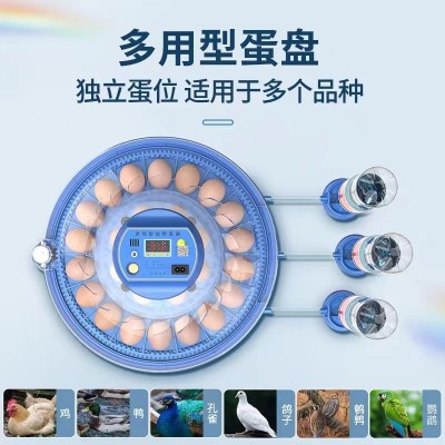 孵化机智能小型家用孵化器小鸡小飞碟孵化箱鸽子芦丁鸡孵蛋器图2