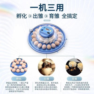 孵化机智能小型家用孵化器小鸡小飞碟孵化箱鸽子芦丁鸡孵蛋器图3
