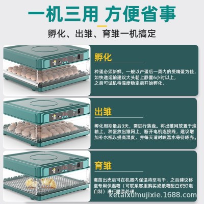 直销小鸡孵化器小型家用孵化机全自动智能家用型孵蛋器鸡苗孵化箱图3