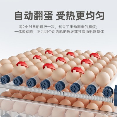 跨境外贸孵蛋器水床小鸡蛋芦丁孵化器小型家用全自动智能孵化机图3