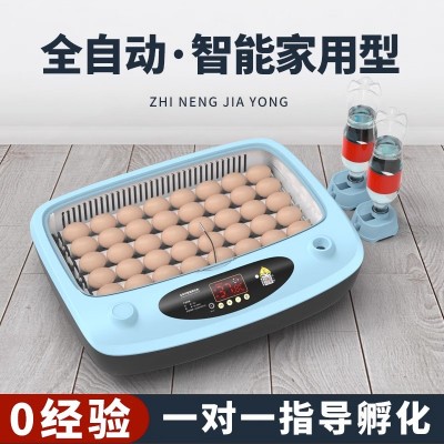 批发孵化机全自动家用型孵化器鸡鸭鹅鸽子芦丁鸡小型卵化器厂家直图2