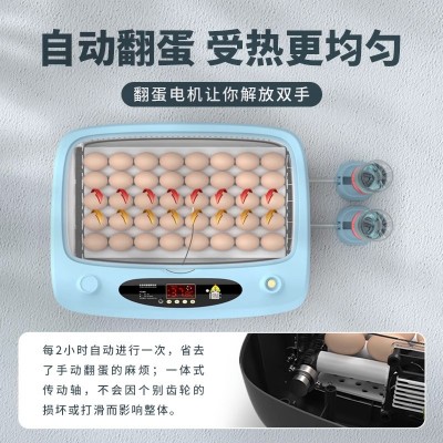 批发孵化机全自动家用型孵化器鸡鸭鹅鸽子芦丁鸡小型卵化器厂家直图4