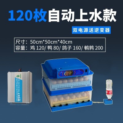 自动加水孵化器家用孵化机全自动智能孵化箱小鸡鸭鹅鸽种蛋孵蛋器图4