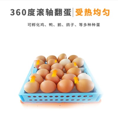 家禽孵化器小型家用全自动孵蛋器智能鸡鸭鹅孵化机迷你鸽子孵化箱图3