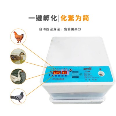 家禽孵化器小型家用全自动孵蛋器智能鸡鸭鹅孵化机迷你鸽子孵化箱图5