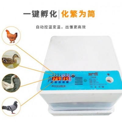 家禽孵化器小型家用全自动孵蛋器智能鸡鸭鹅孵化机迷你鸽子孵化箱图4